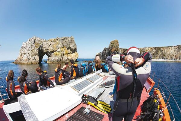 Rando palmée au bout du monde