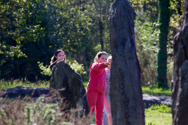 Menhirs de Monteneuf