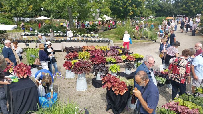 Les journées des plantes de Guerlesquin