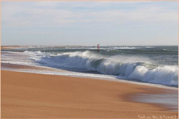Littoral
