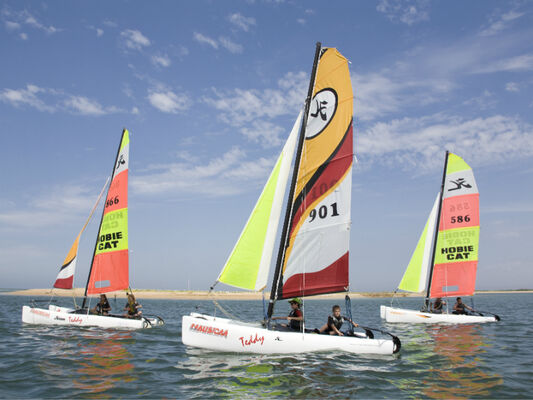 Stage-multiactivité