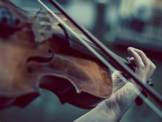 Violon