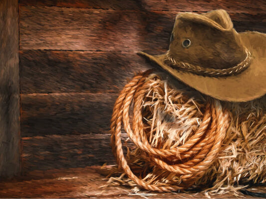 Western-