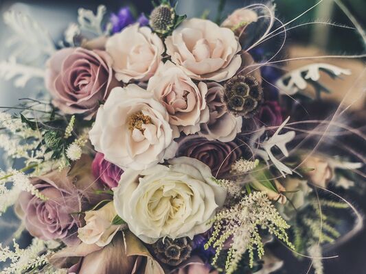 Ranville Roses