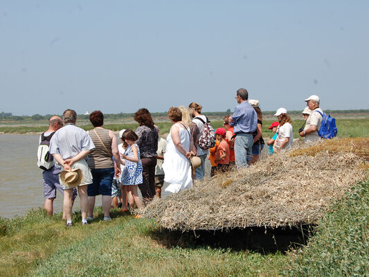 Gabion flottant Sallenelles