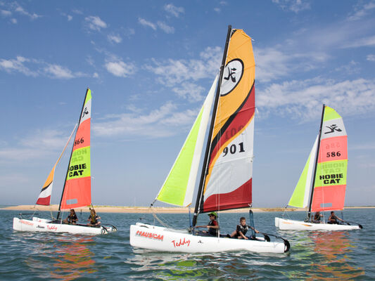 Voile
