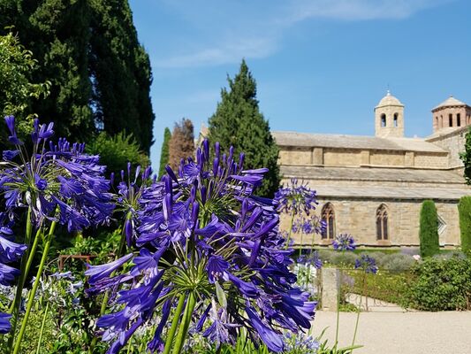 Abbaye de Fontfroide