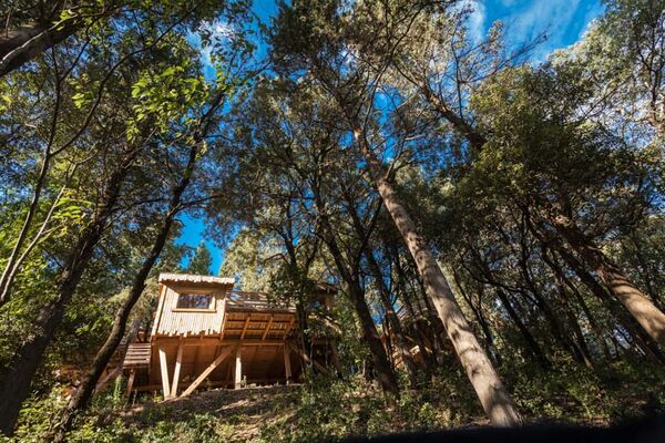 Cabanes dans les bois - Villalier_10