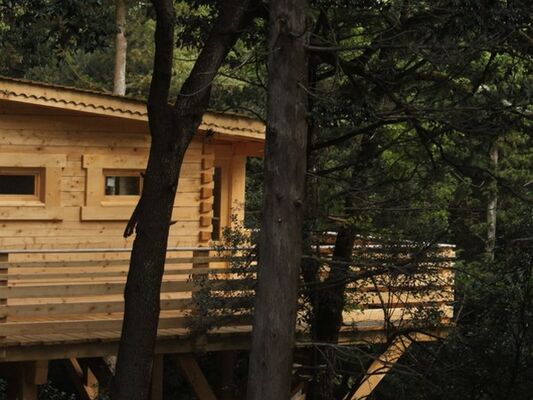 LES CABANES DANS LES BOIS