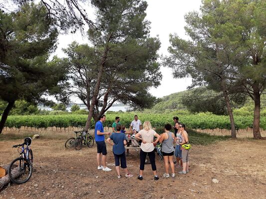 LANGUEDOC VTT EVASION