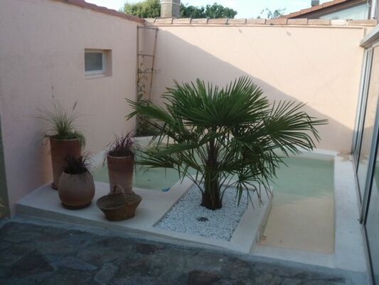 Sous le figuier de Cathy-1