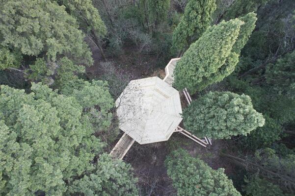 LES CABANES DANS LES BOIS