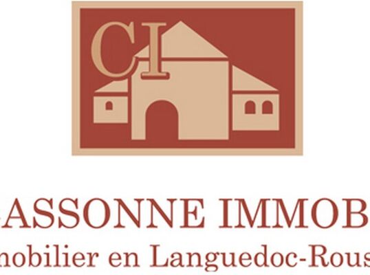 logo CI couleur