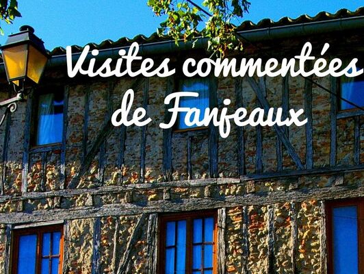 Visite Fanjeaux