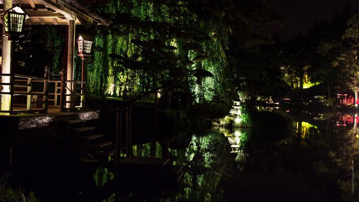 Nocturne--4-