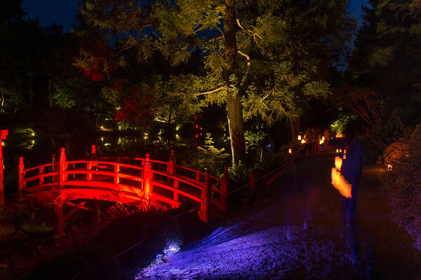 Nocturne--3-