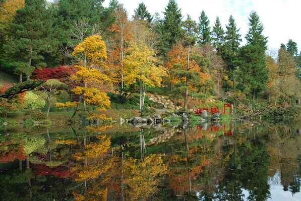 Automne--1--2