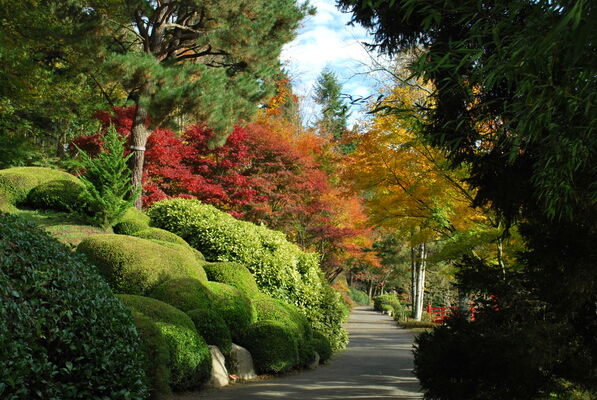 Automne--2-