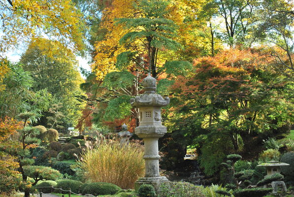 Automne--3-