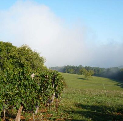 DOMAINE VOIE BLANCHE