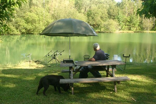 Les Etangs du Bos