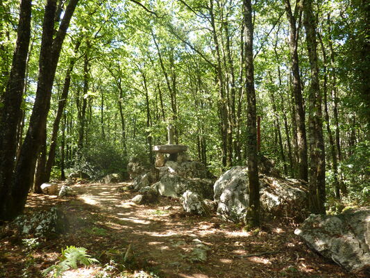 P1000854-2