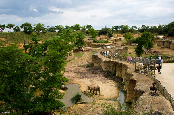 Vallee-des-rhinoceros---Bioparc
