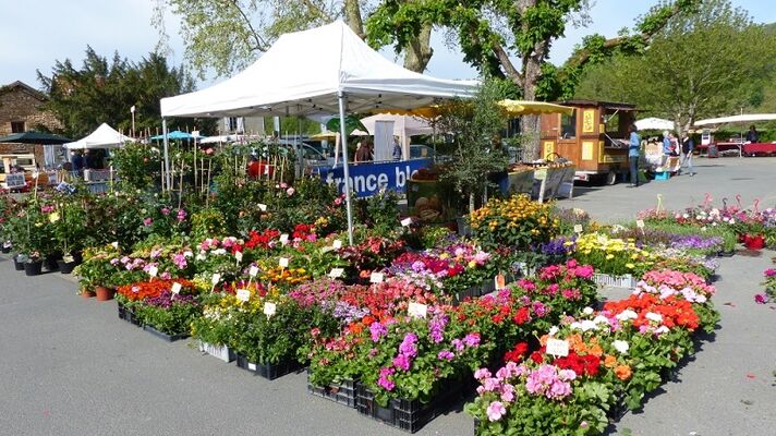 Fête des fleurs Aubas