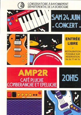concert-2-11
