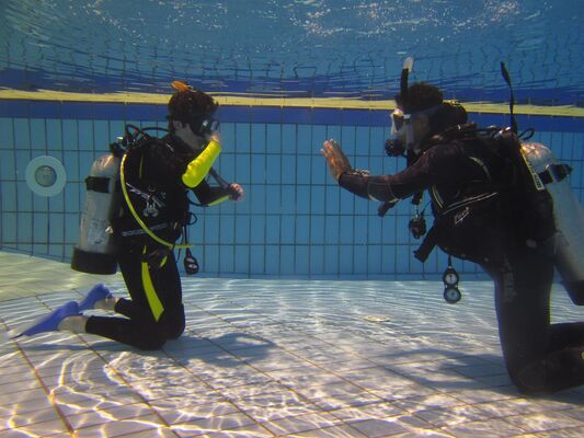 diving-2316453-1920