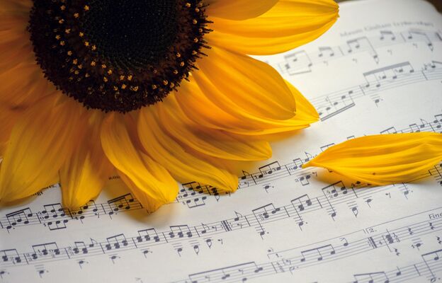 fete-musique-10