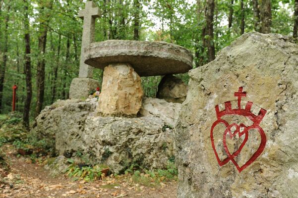 guerres-de-vendee--PW-0437-le bois-des-chevres
