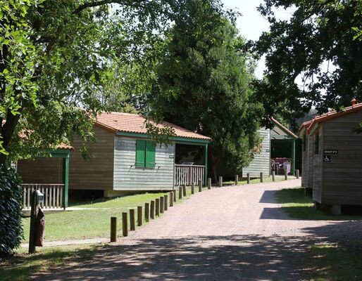 location-chalet-1-chambre-camping-au-lac-hautibus