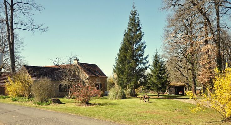 Maison