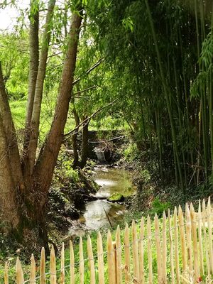 Vue sur le ruisseau en bas du jardin