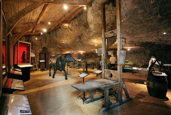 salle-d-exposition-7