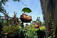terra-botanica-44