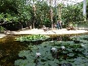 terra-botanica-nature