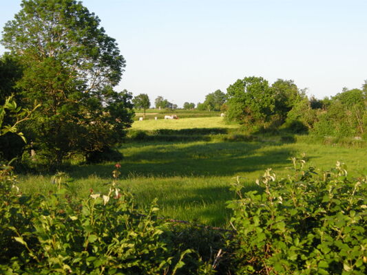 14.le bocage autour d'Auzay .JPG_15