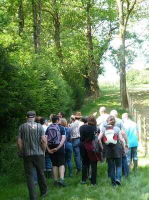 190705-balade-en-bocage