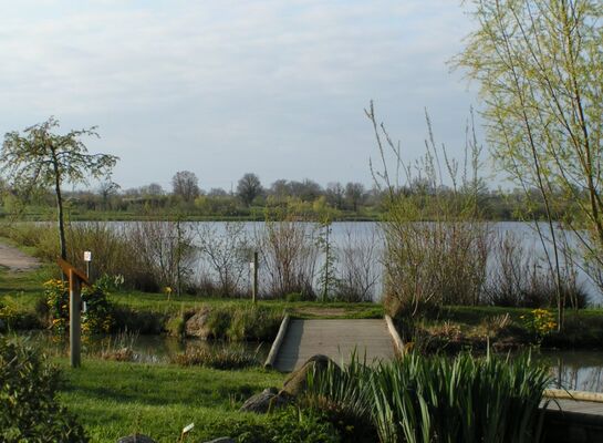 Un-des-etangs