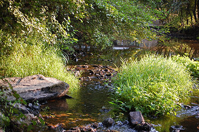 gite-chiche-moulin-bardeas-Le Thouret-400.jpg_10