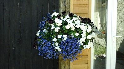 Lemontreehouse-détail-bouquet-sit.jpg_10