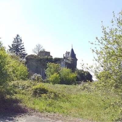 faye-labbesse-thouaret-entre-bocage-gatine-vtt.jpg_1