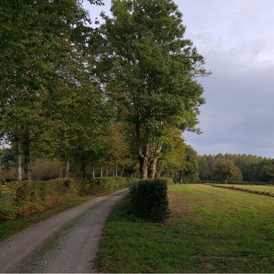terves-pas-deesse-trivis-rando-pedestre.jpg_1