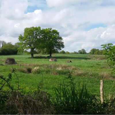 clesse-ronde-moulins-vtt.jpg_1