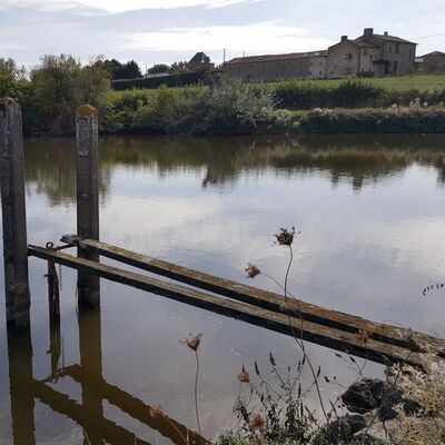 terves-nature-sous-chacun-de-nos-pas-rando-pedestre.jpg_1