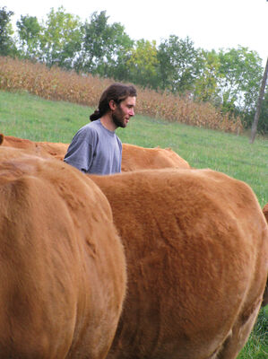 marchand_gael-w.jpg_1
