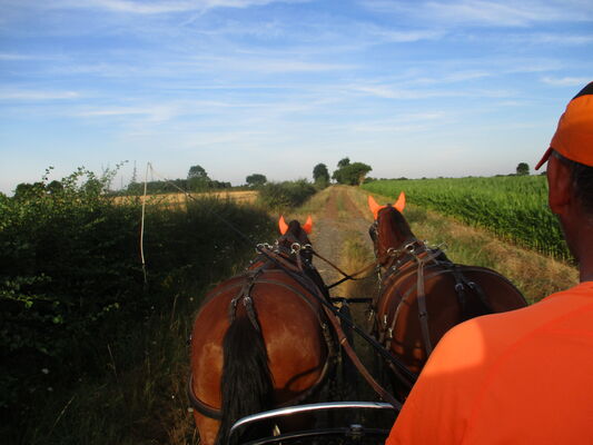 ecurie-saint-nicolas-attelage-balade-equestre-0409.JPG_2