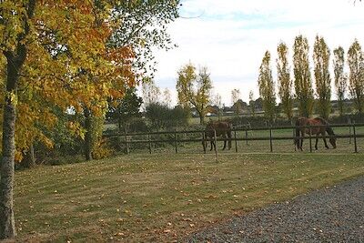 st aubin de baubigné-les roches moussets-chevaux.jpeg_12